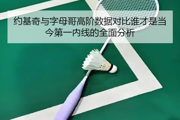 约基奇与字母哥高阶数据对比谁才是当今第一内线的全面分析