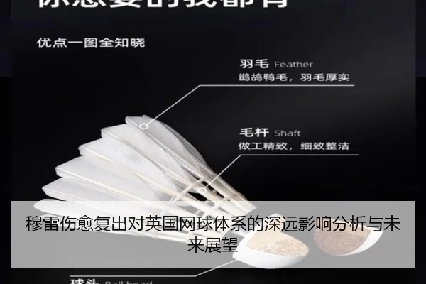 穆雷伤愈复出对英国网球体系的深远影响分析与未来展望