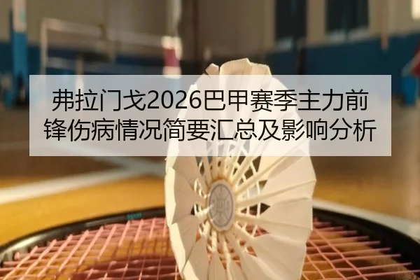 弗拉门戈2026巴甲赛季主力前锋伤病情况简要汇总及影响分析